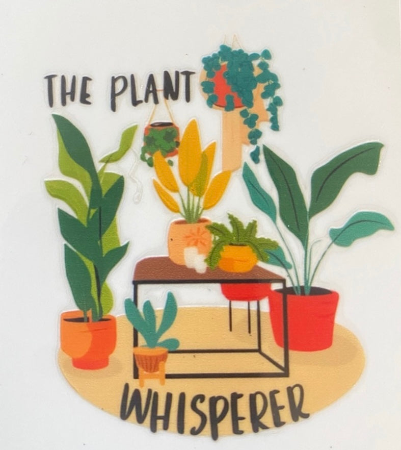 Custom Plant Lover Mug or Water Bottle – 11 Design Options