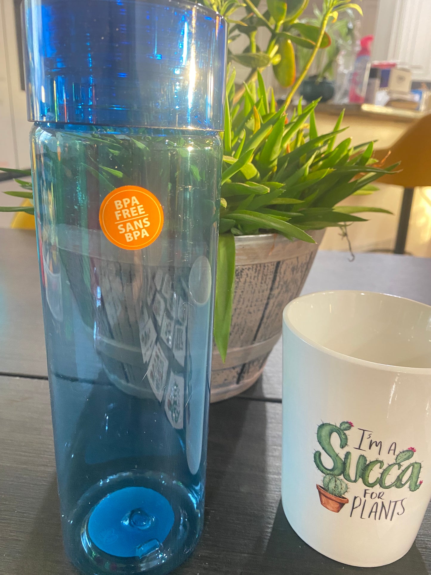 Custom Plant Lover Mug or Water Bottle – 11 Design Options