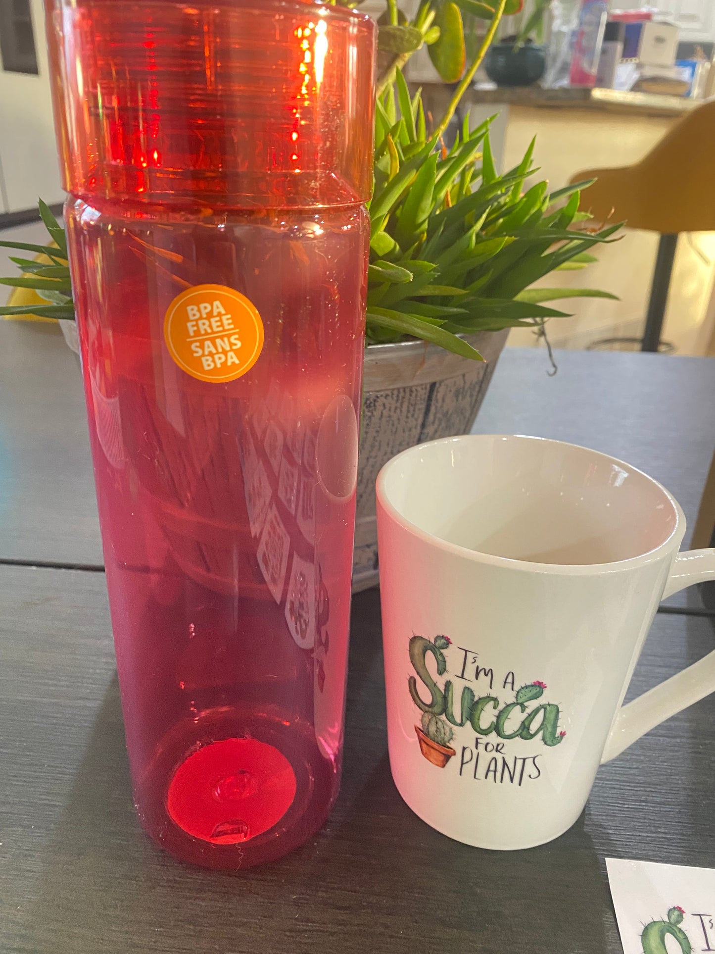 Custom Plant Lover Mug or Water Bottle – 11 Design Options