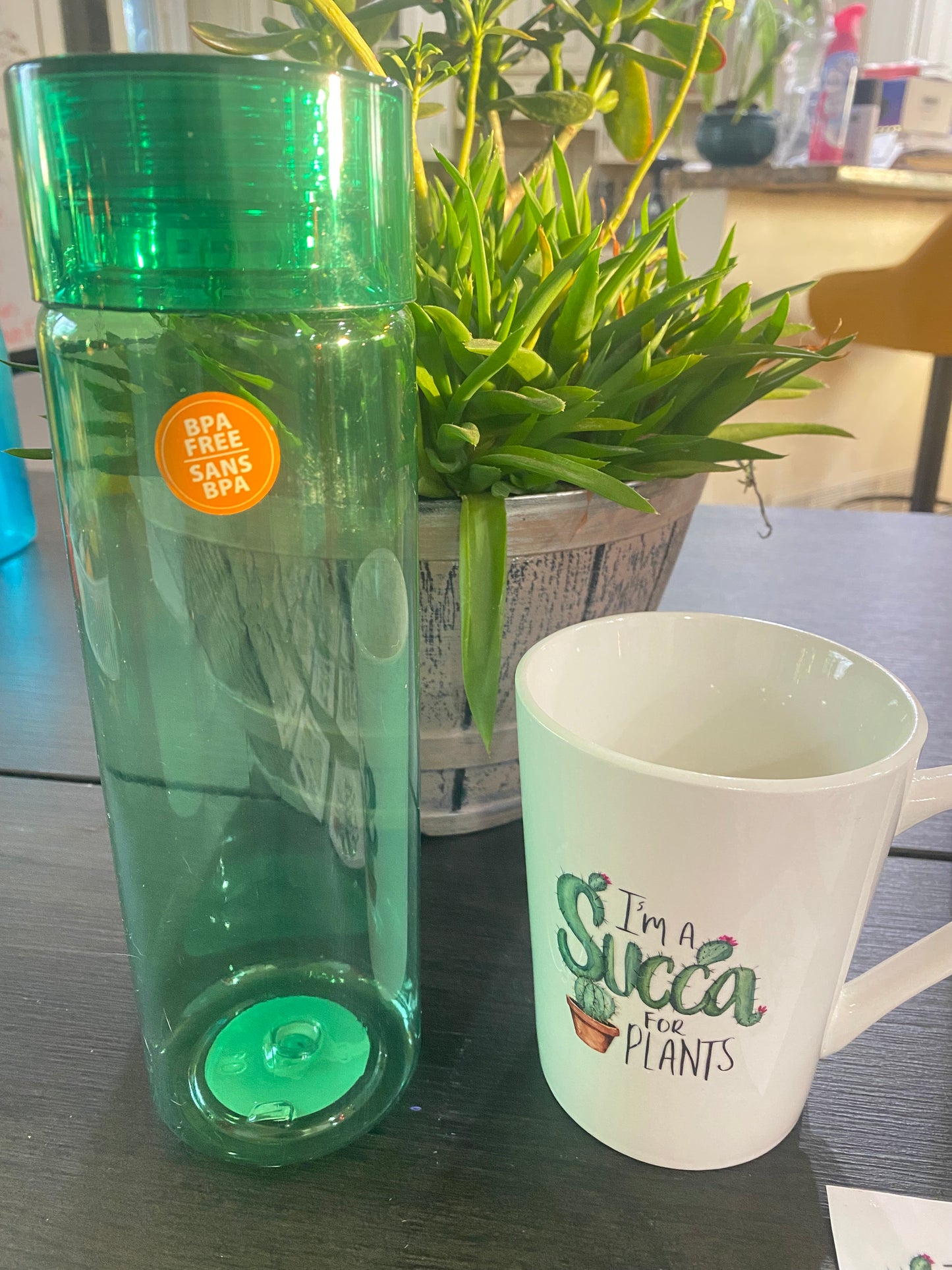 Custom Plant Lover Mug or Water Bottle – 11 Design Options