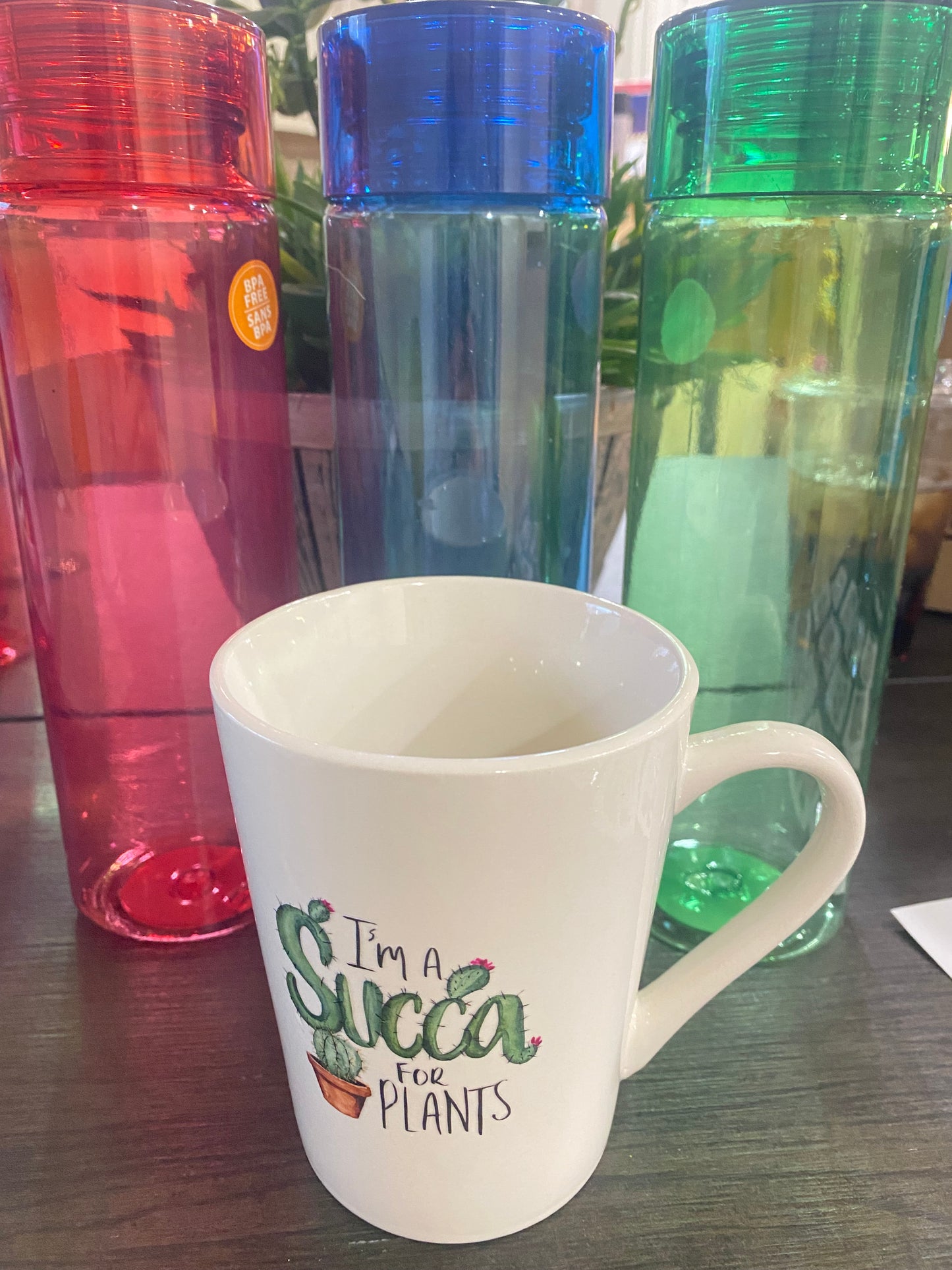 Custom Plant Lover Mug or Water Bottle – 11 Design Options
