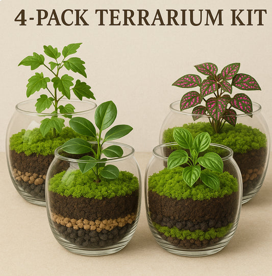 Party Pack- Sustainable Plant Terrarium Kits for a Group of 4