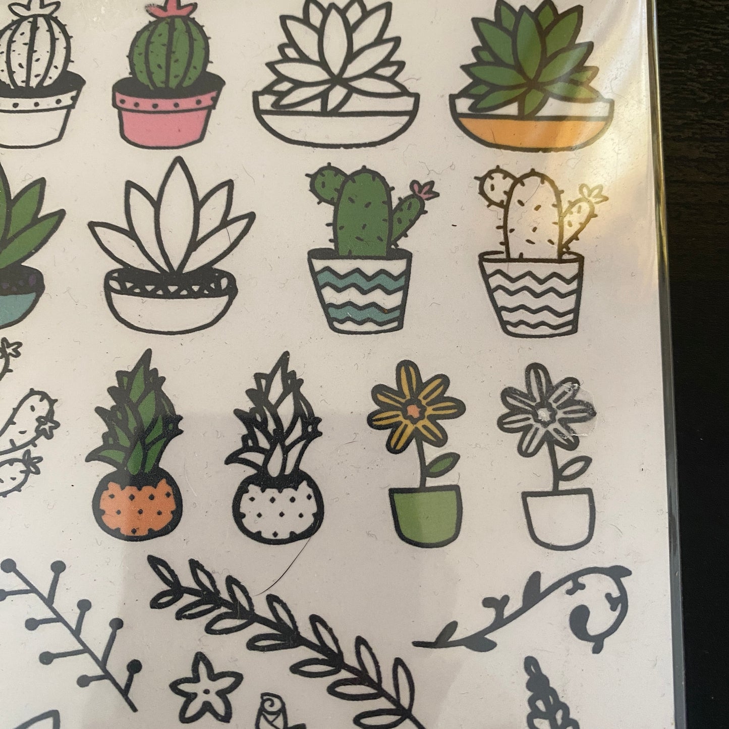 Transfer Type stickers 45+ Cactus Leaves Succulents foliage