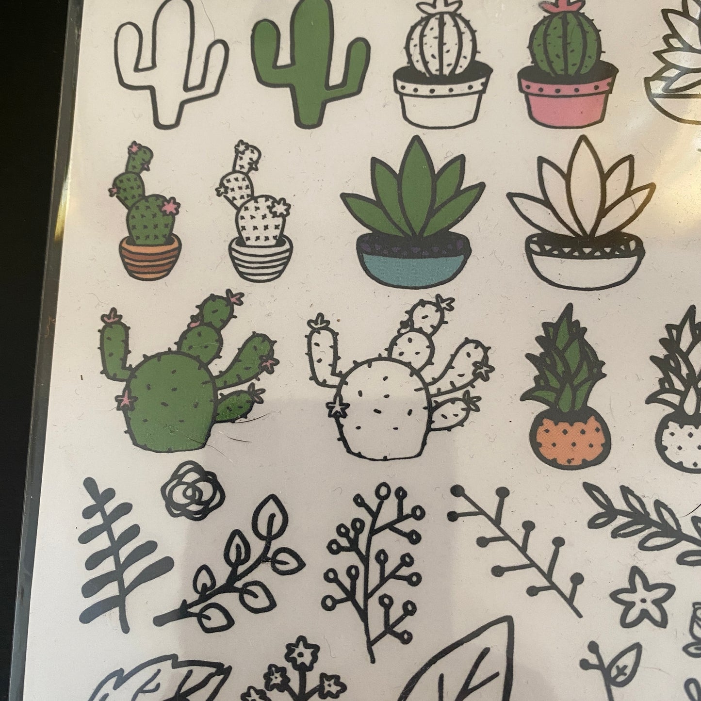Transfer Type stickers 45+ Cactus Leaves Succulents foliage