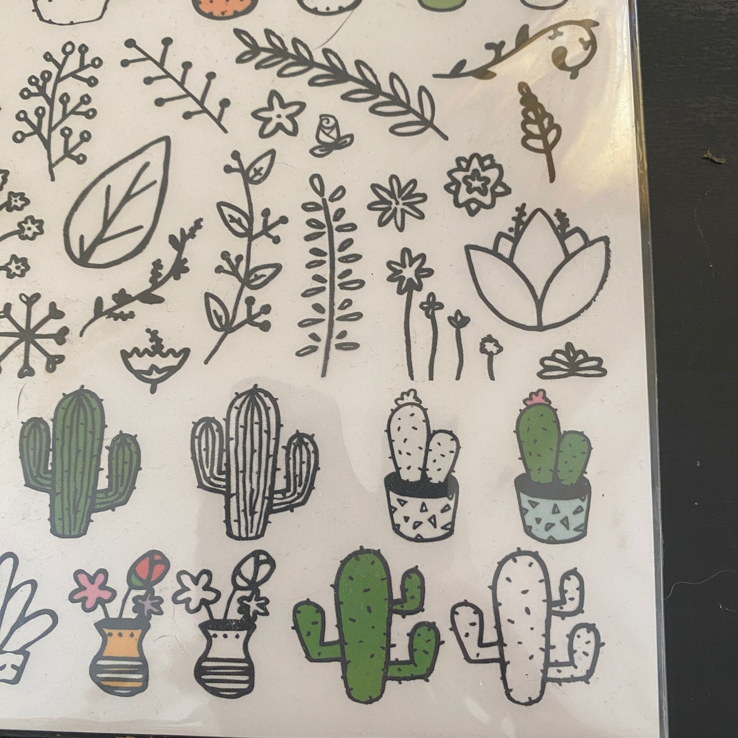 Transfer Type stickers 45+ Cactus Leaves Succulents foliage