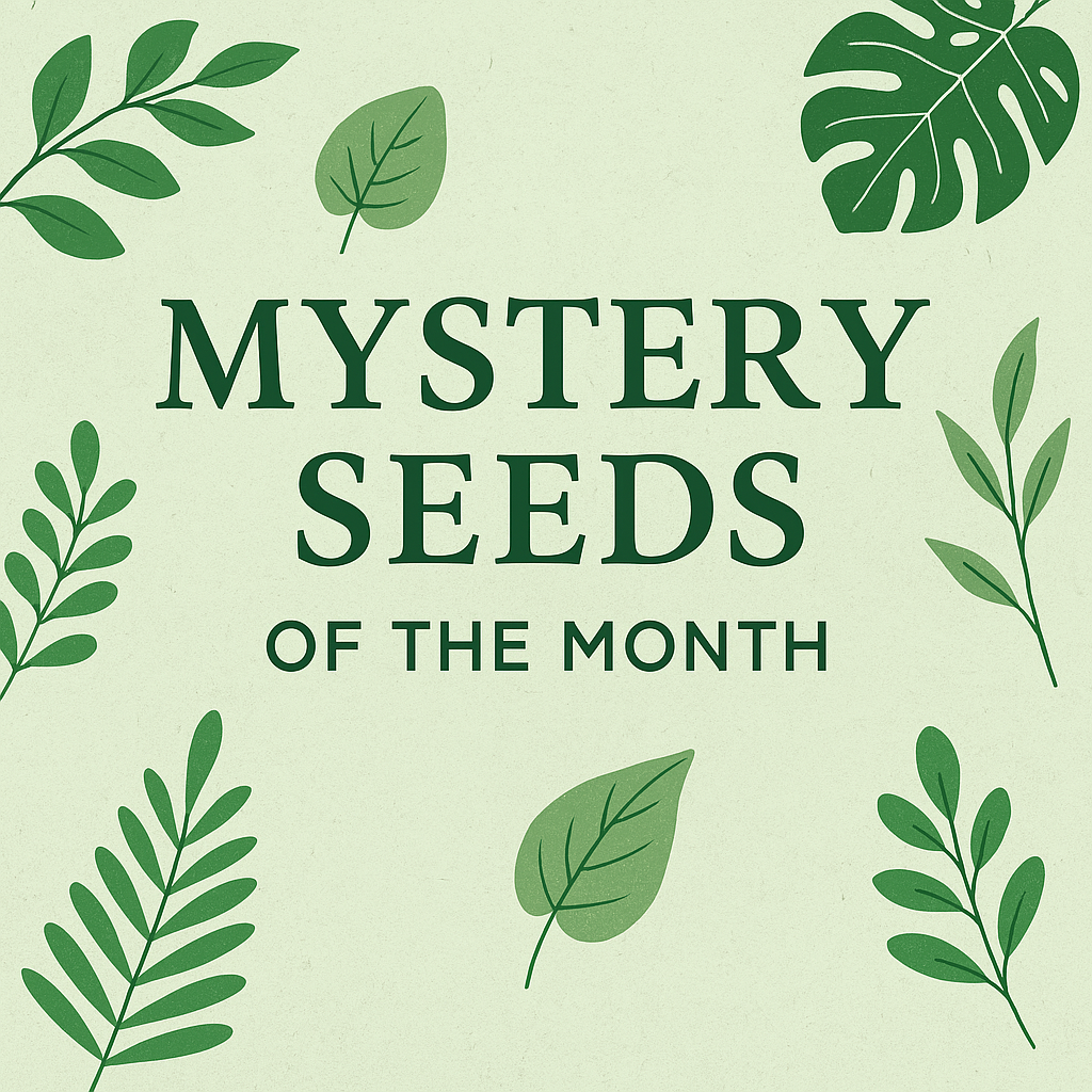 Mystery Seeds of the Month – A Surprise for Every Gardener!