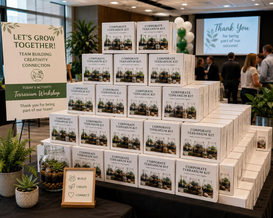 Corporate Team building kit activity, Bulk DIY Terrarium Kits, Employee Appreciation, Office Workshop Indoor plant week Corporate Event